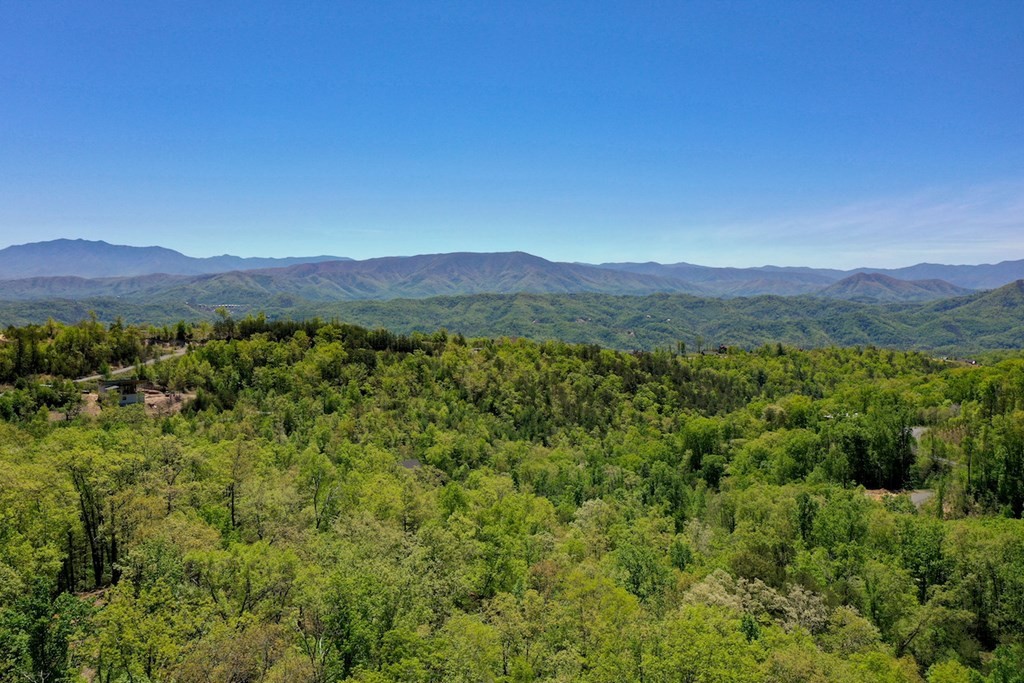 0 Bluff Mountain Road Sevierville, TN 37876 - Photo 12 of 15