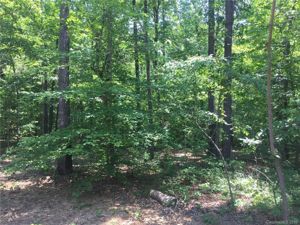 3909 Morgan Mill Road, Unit 4 Monroe, NC 28110 - Photo 1 of 1 a view of a forest with lots of trees