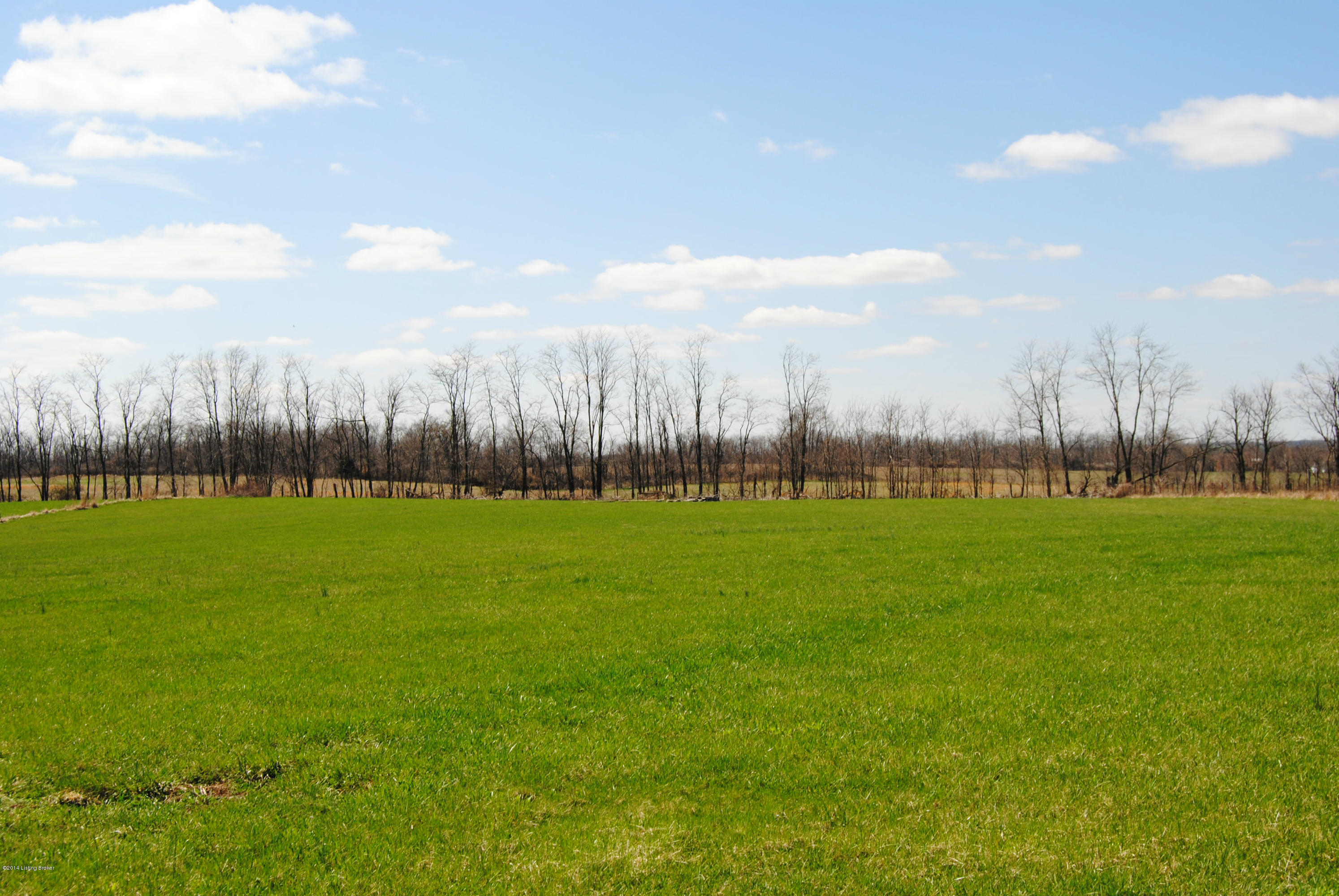 8006 Cropper Road Pleasureville, KY 40057 - Photo 20 of 21 DSC_0023
