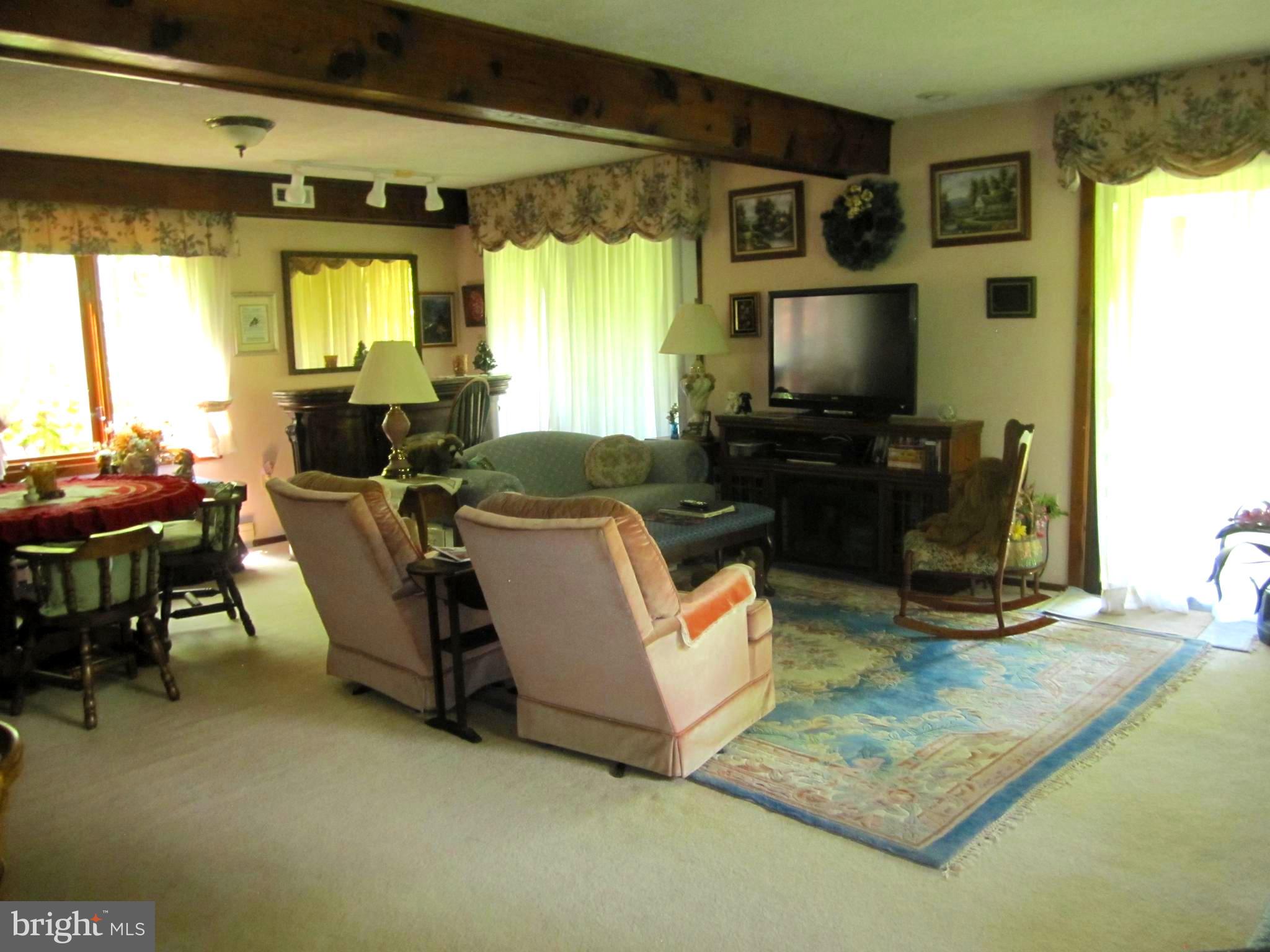 116 Susan Road Basye, VA 22842 - Photo 30 of 52 Downstairs Family Room