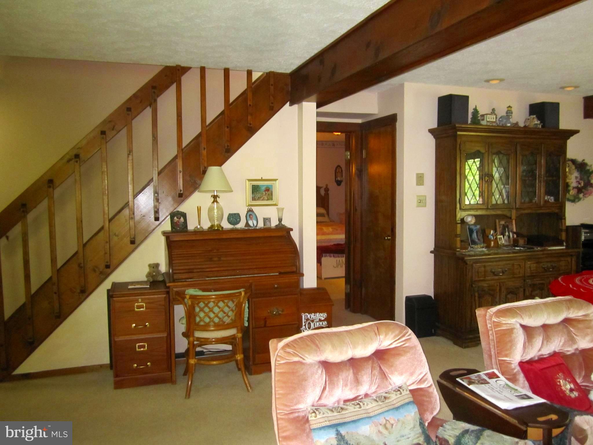 116 Susan Road Basye, VA 22842 - Photo 32 of 52 Downstairs Family Room