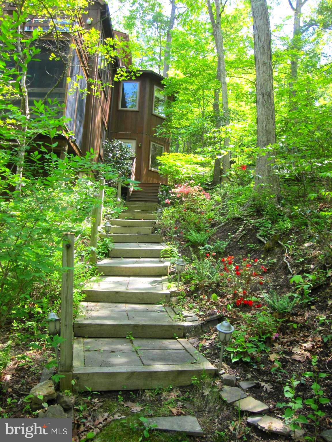 116 Susan Road Basye, VA 22842 - Photo 48 of 52 Exterior