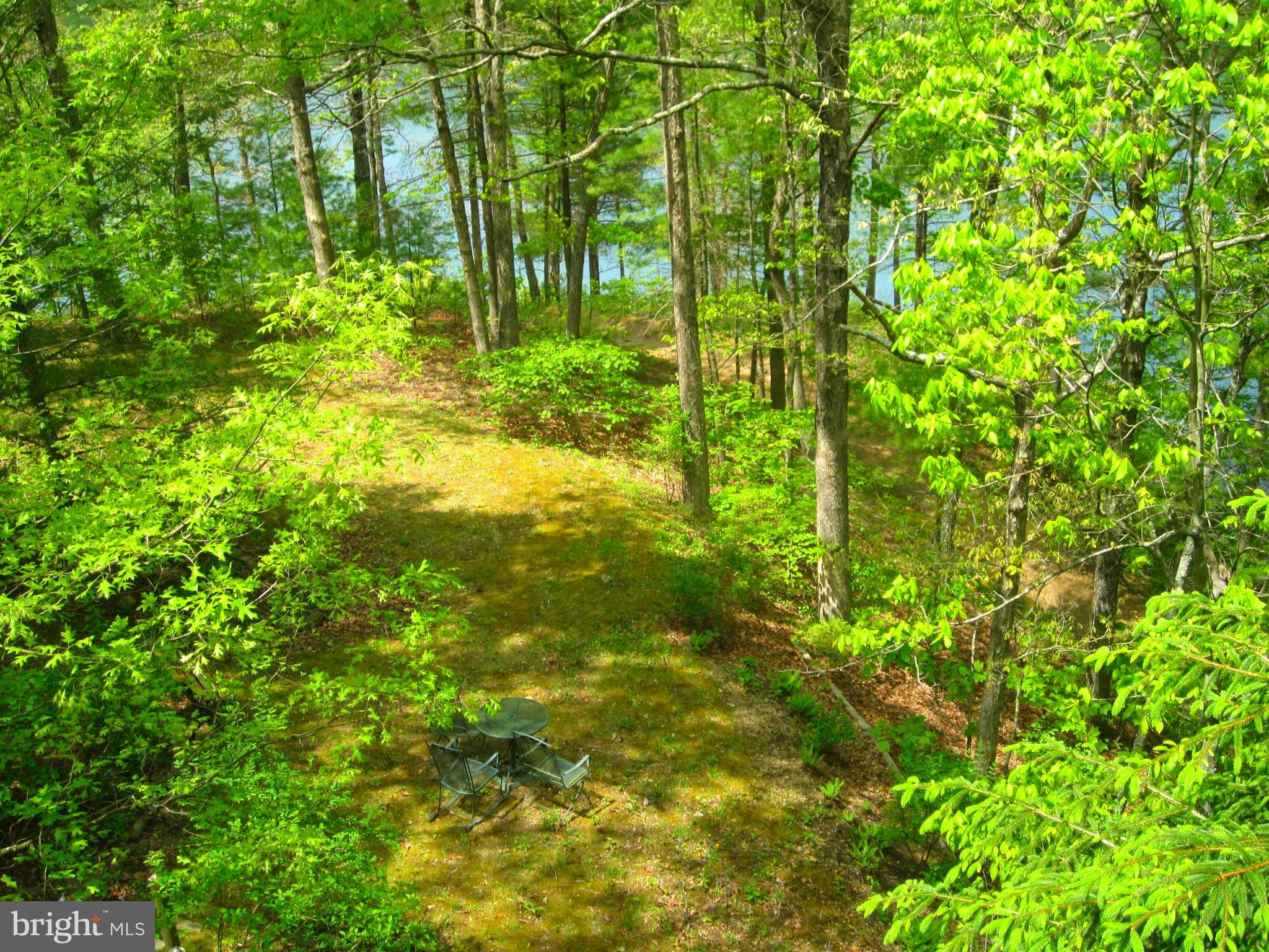 116 Susan Road Basye, VA 22842 - Photo 6 of 52 Lake View