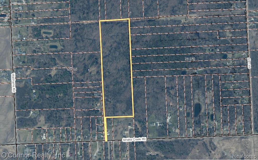 -smiths Creek Rd Smiths Creek Road Smiths Creek, MI 48074 - Photo 4 of 4 Parcel Outline.jpg
