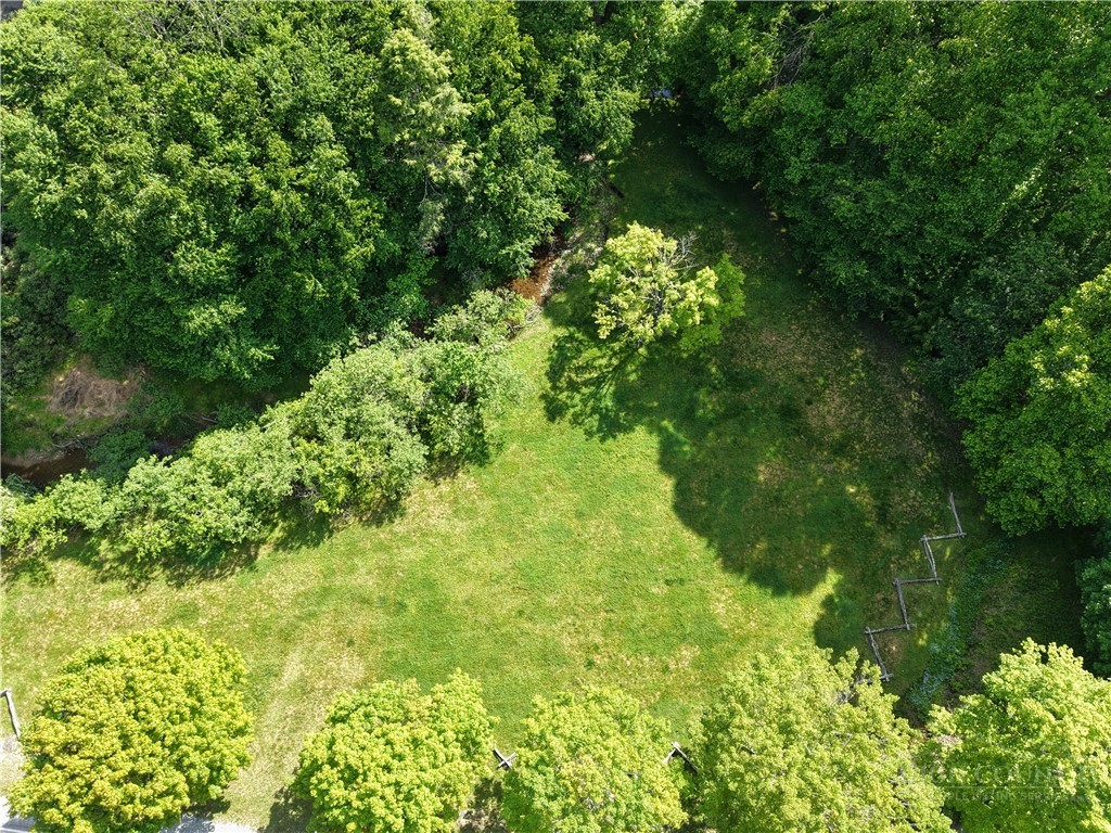Cedar Lane Boone, NC 28607 - Photo 12 of 12 a view of a garden
