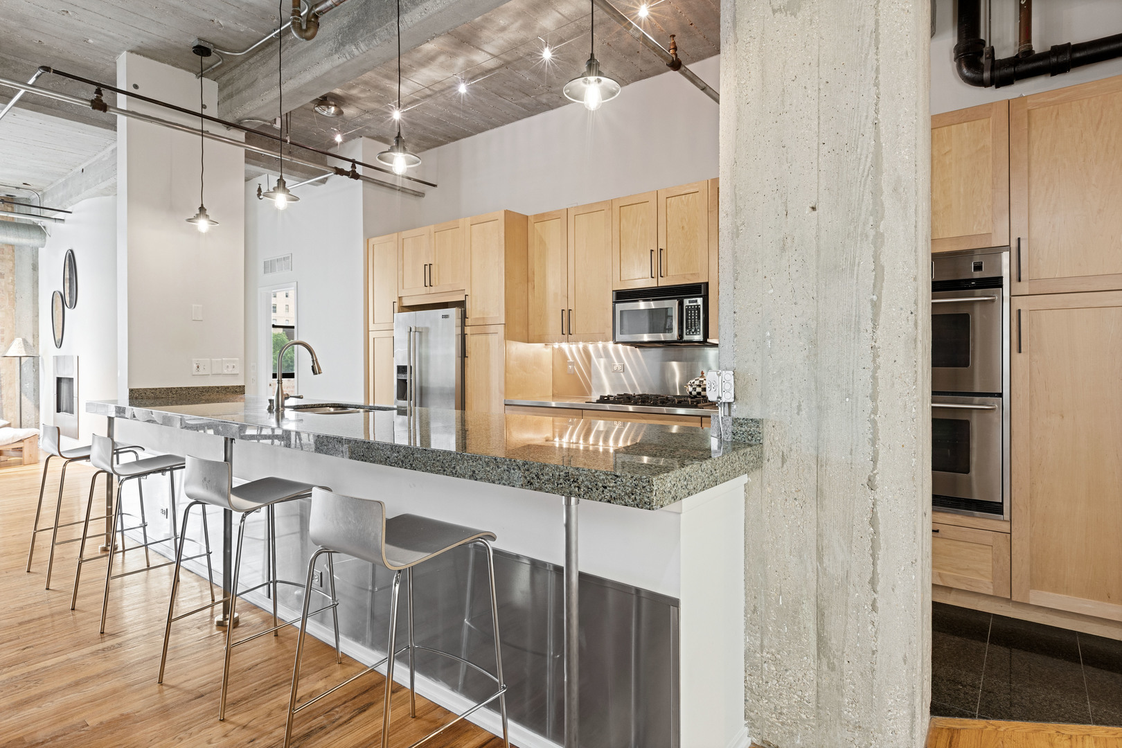 850 West Adams Street, Unit 4B Chicago, IL 60607 - Photo 16 of 36