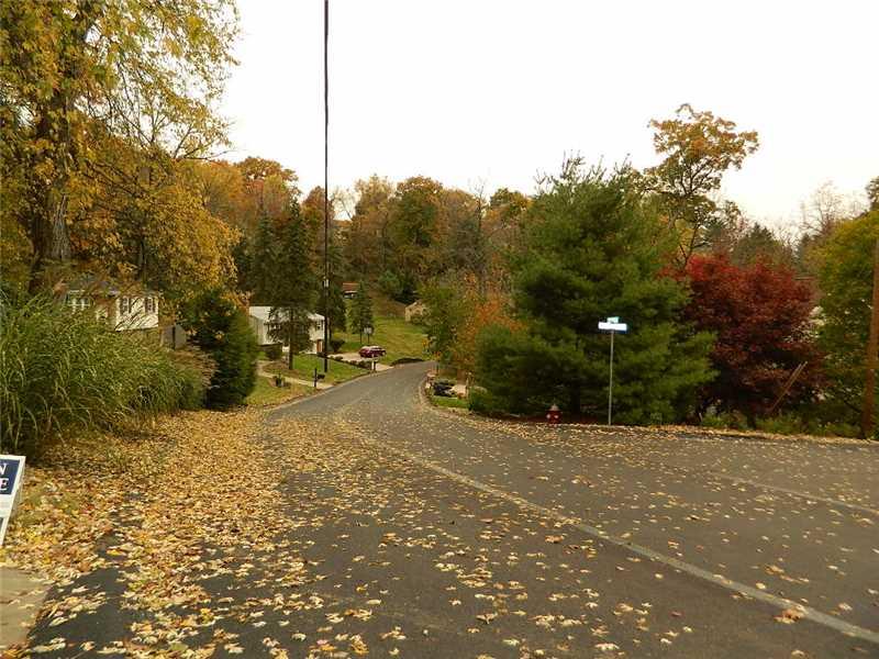145 Byron Road Pittsburgh, PA 15237 - Photo 22 of 22 View. View from the Street shows the homes have spacious lots, beautiful trees. The Road is quiet and was just newly paved. .