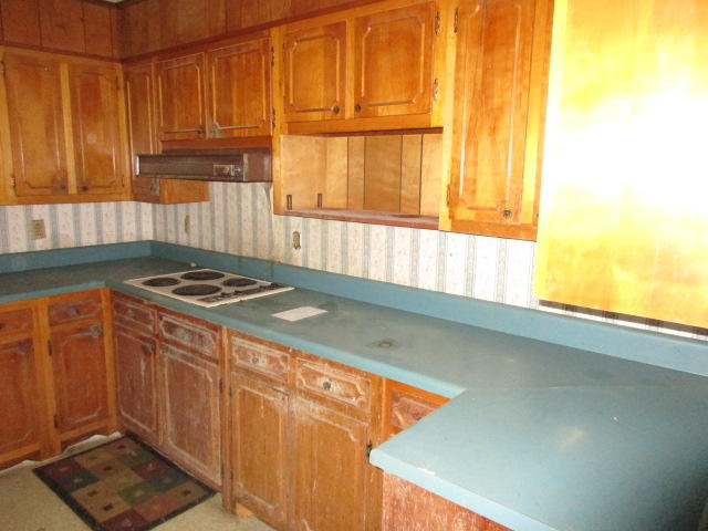 172 Hilltop Road Spring City, TN 37381 - Photo 8 of 18 IMG_7885