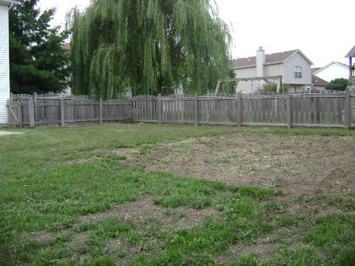 24905 Vermette Road Plainfield, IL 60585 - Photo 3 of 14