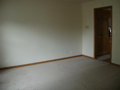 24905 Vermette Road Plainfield, IL 60585 - Photo 8 of 14
