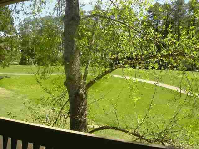 22 Pine Valley Road Pinehurst, NC 28374 - Photo 7 of 7 Additional Photo