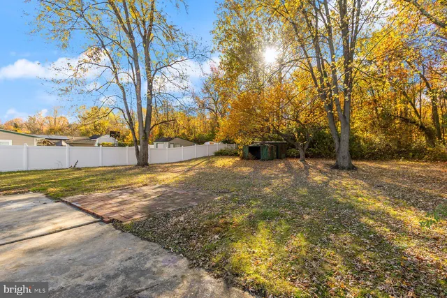 a view of yard with trees