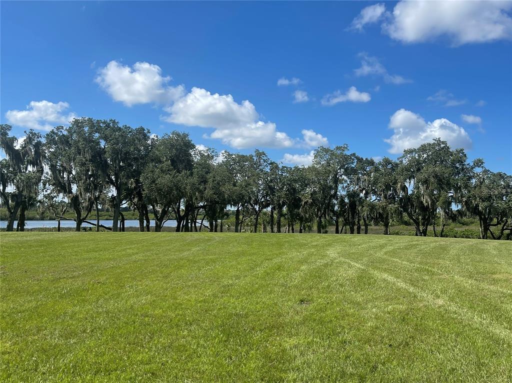 11801 Rive Isle Run Parrish, FL 34219 - Photo 1 of 1 Gallery Image 1