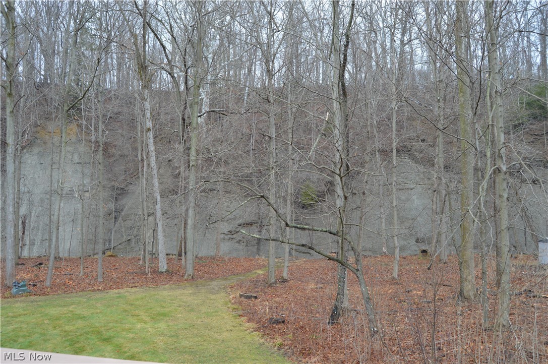 6493 Harris Road Broadview Heights, OH 44147 - Photo 18 of 19