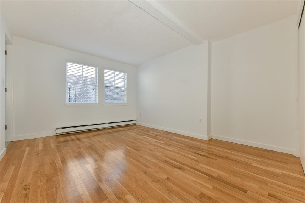 101 West Springfield Street, Unit 4 Boston, MA 02118 - Photo 6 of 13