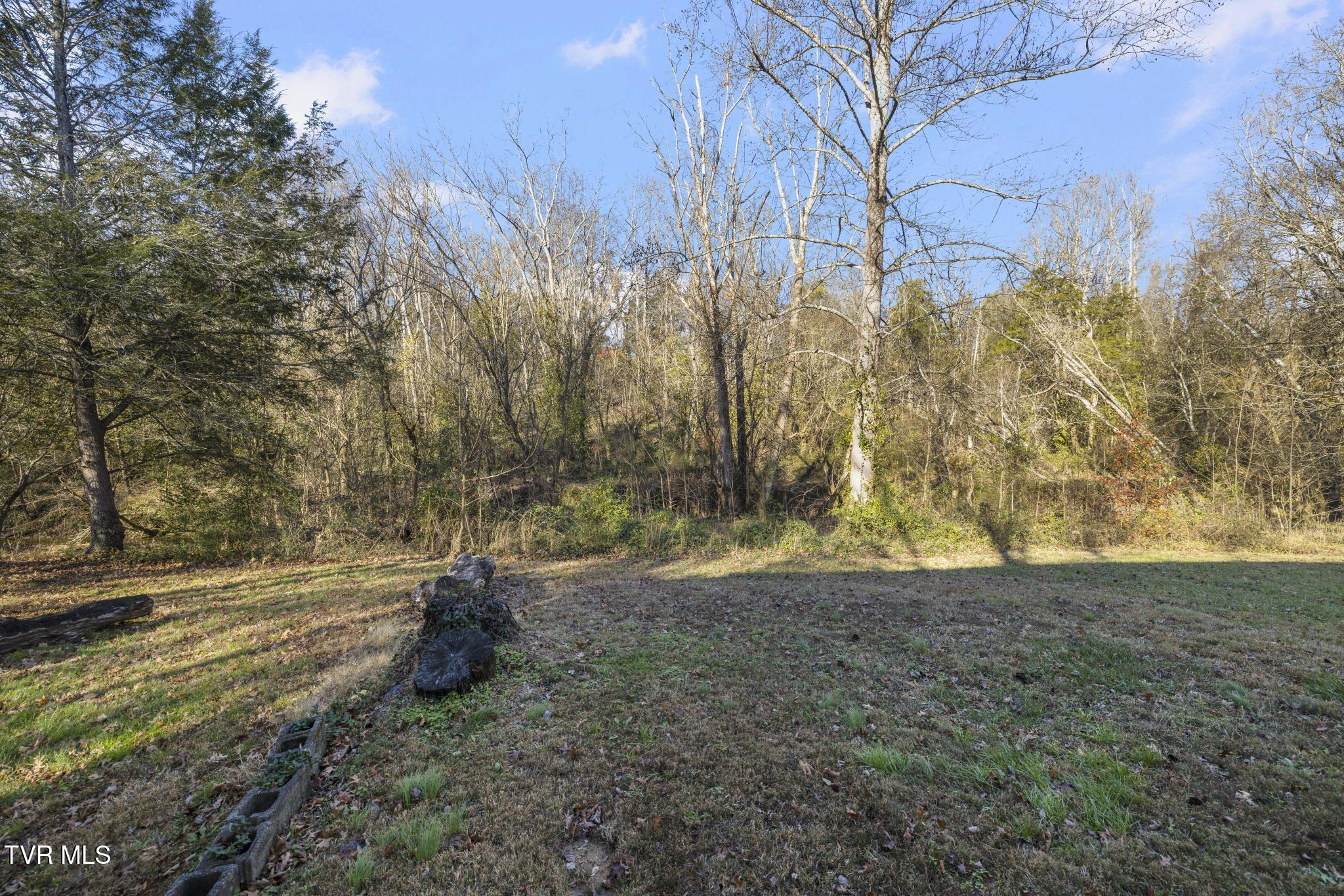 3086 Old State Rte 34 Limestone, TN 37681 - Photo 41 of 62 IMG_3673