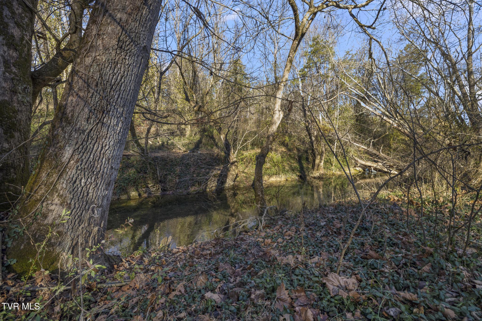 3086 Old State Rte 34 Limestone, TN 37681 - Photo 7 of 62 IMG_3674