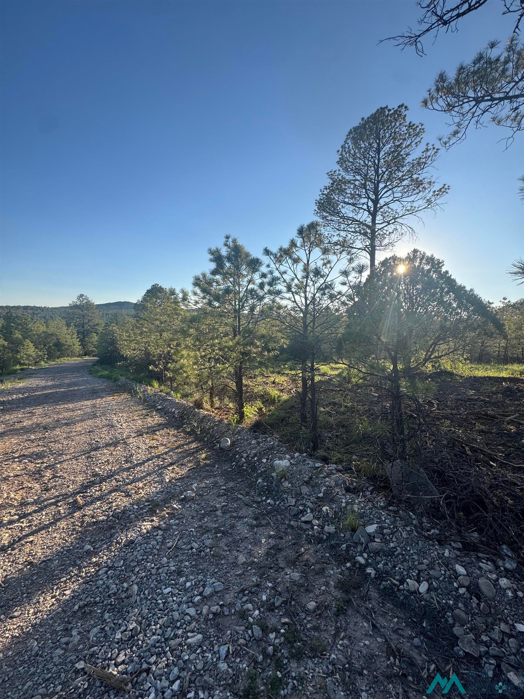 12 Rio Pinar Drive Timberon, NM 88350 - Photo 2 of 6