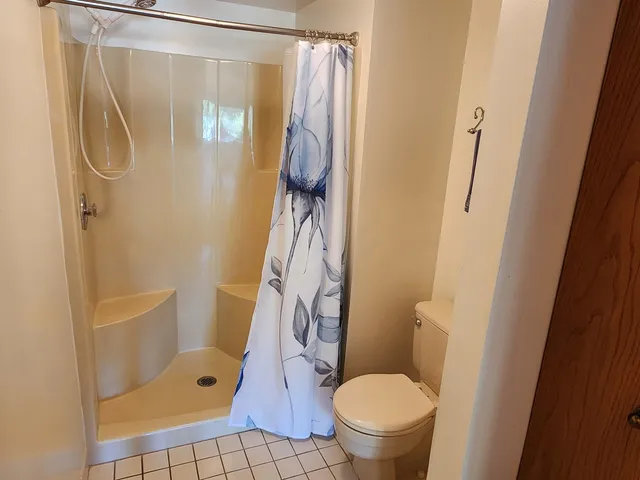 a bathroom with a shower and a toilet