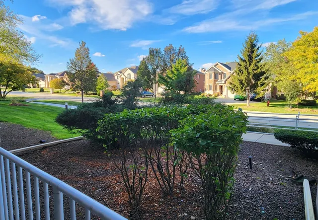 a view of a yard with plants and trees