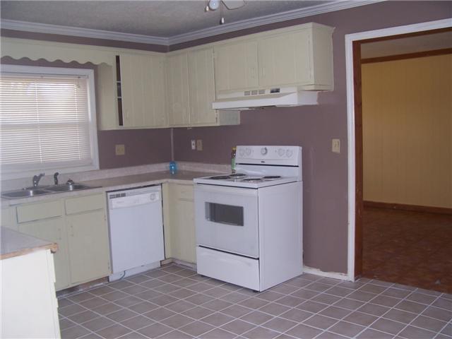 424 Bold Springs Road McEwen, TN 37101 - Photo 8 of 18 spacious kitchen with new tile floor