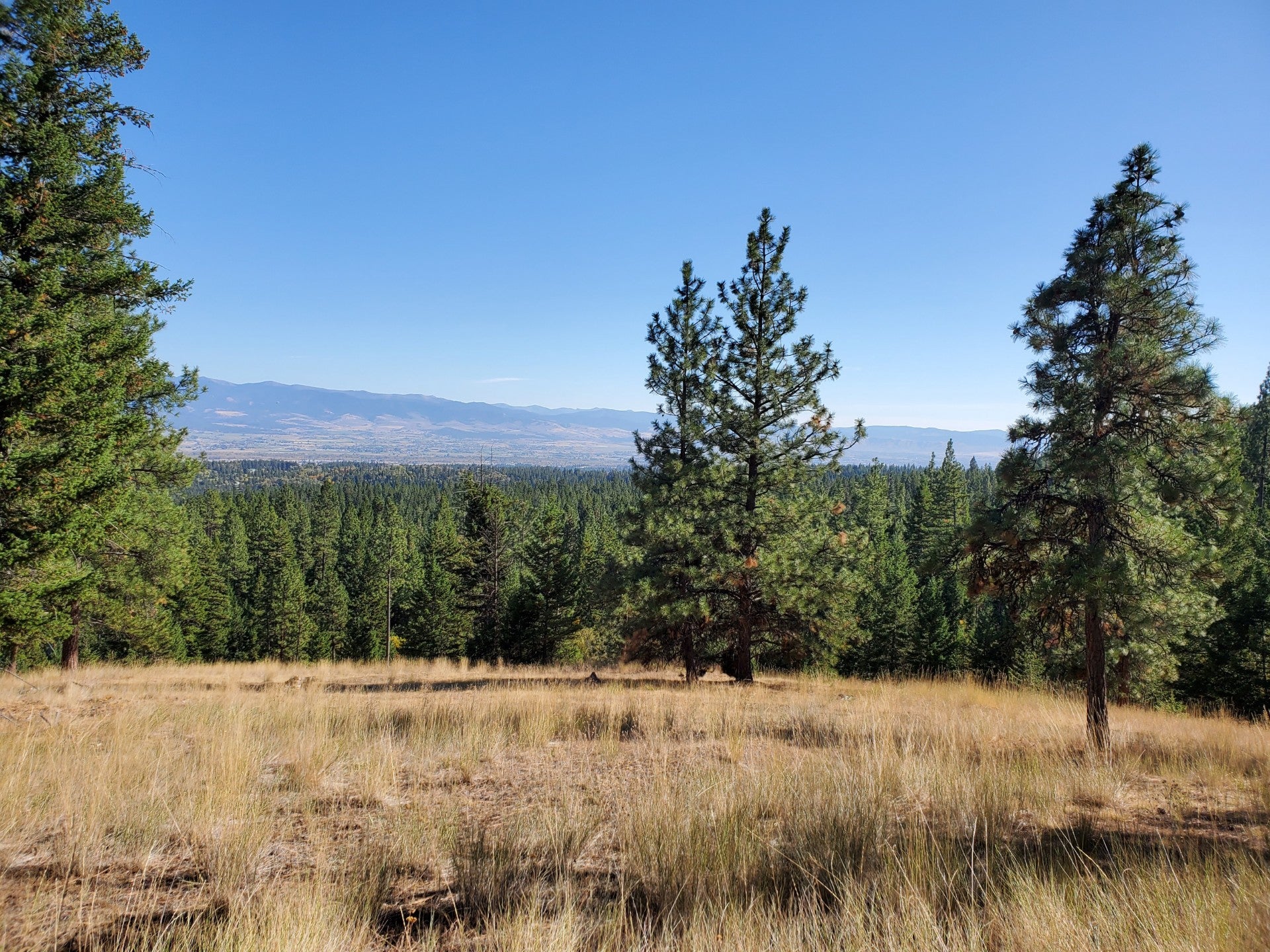 Na Elizabeth Road Victor, MT 59875 - Photo 11 of 11 Gallery Image 11