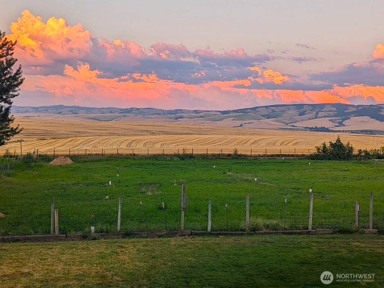 1224 Rooster Road Walla Walla, WA 99362 - Photo 1 of 40