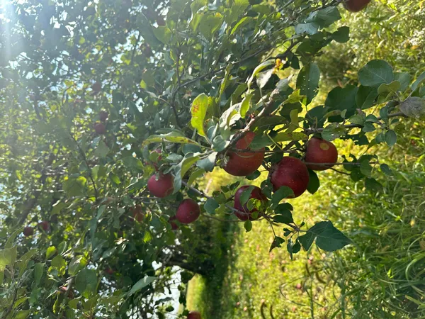 $90,000 | 4680 Northwest 66th Street, Medford, MN 55049