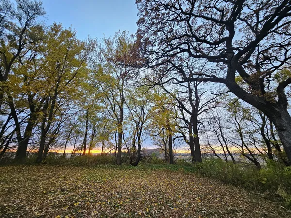 $90,000 | 4680 Northwest 66th Street, Medford, MN 55049