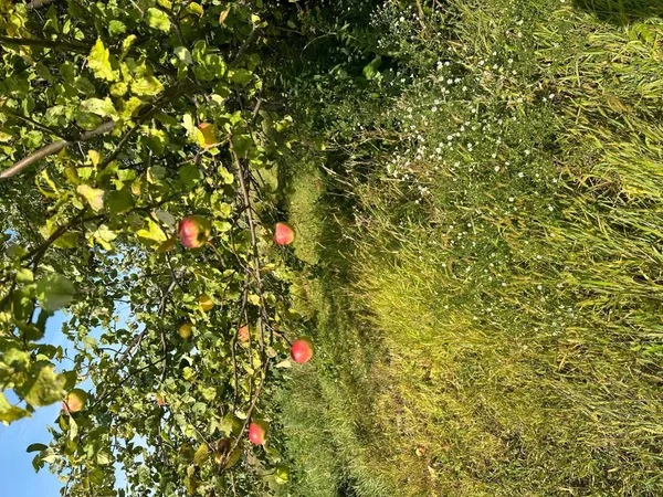 $90,000 | 4680 Northwest 66th Street, Medford, MN 55049