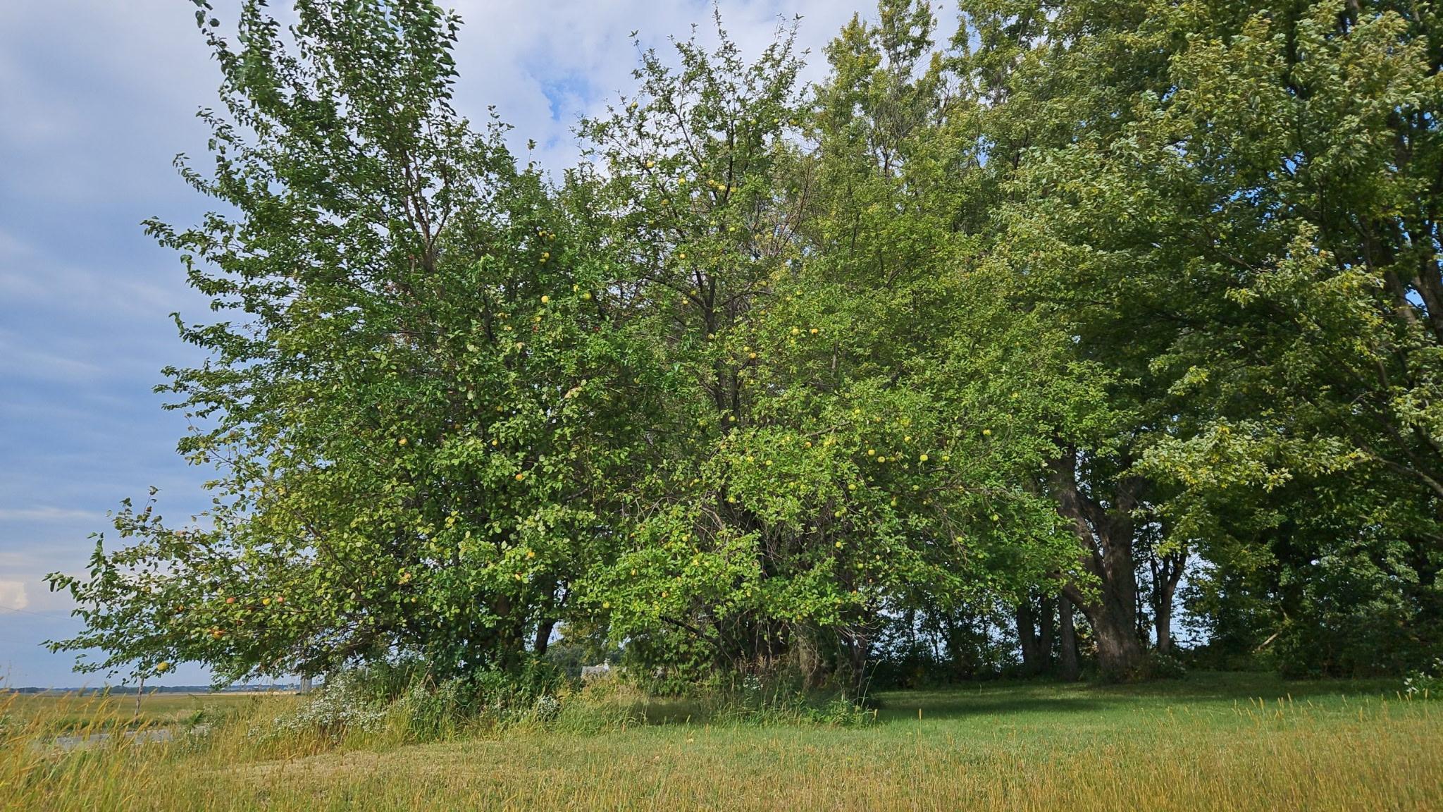 4680 Northwest 66th Street Medford, MN 55049 - Photo 7 of 7