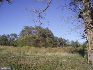 Lot 4 Cedartown Road Newark, MD 21841 - Photo 1 of 3 a view of a yard in a forest