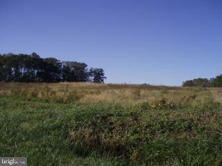 Lot 4 Cedartown Road Newark, MD 21841 - Photo 2 of 3 a view of mountain with sunset in background