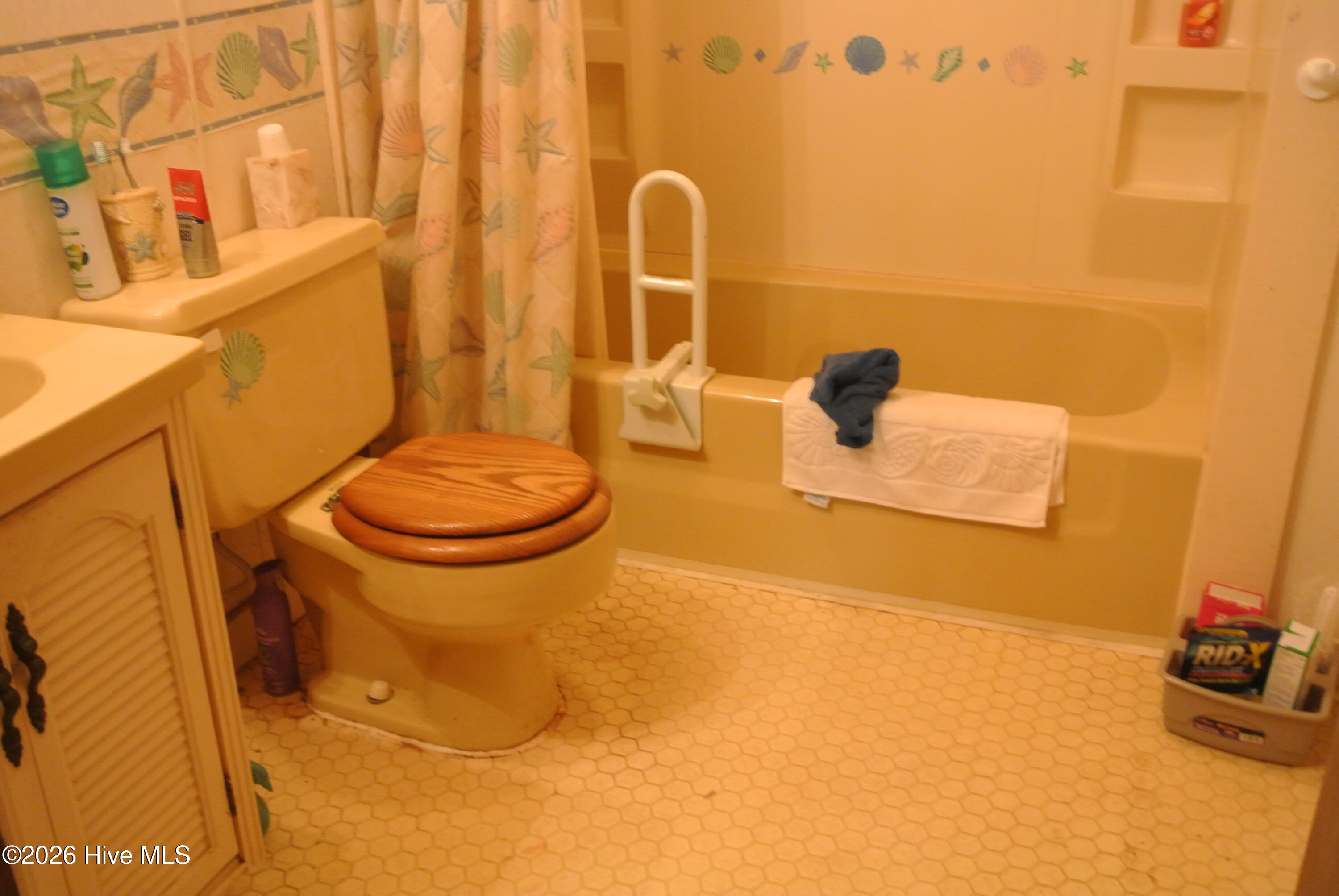 227 Pigott Road Gloucester, NC 28528 - Photo 49 of 59 Hall bath