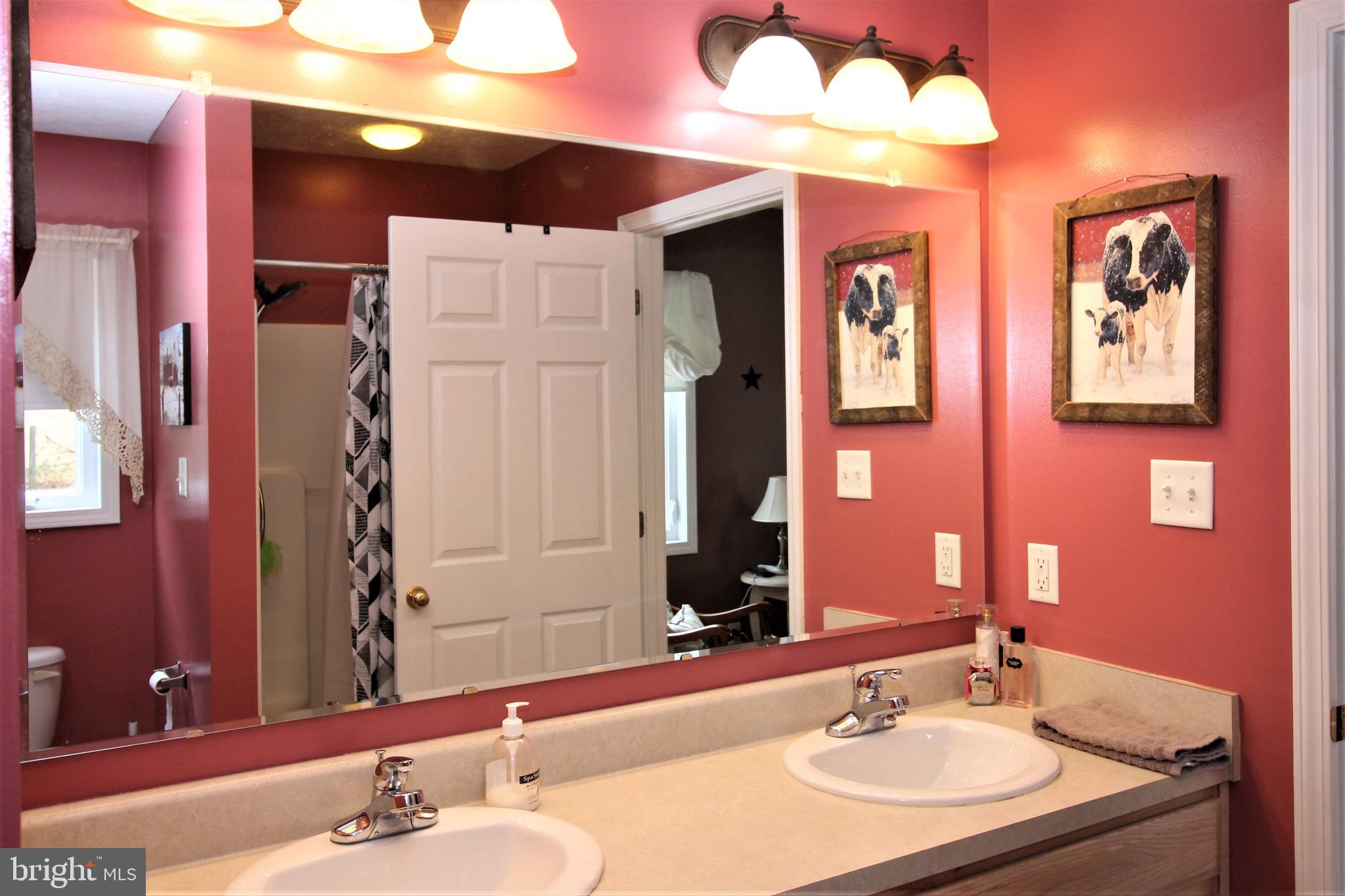 634 River Road Madison, VA 22727 - Photo 15 of 33 Master bathroom with separate shower