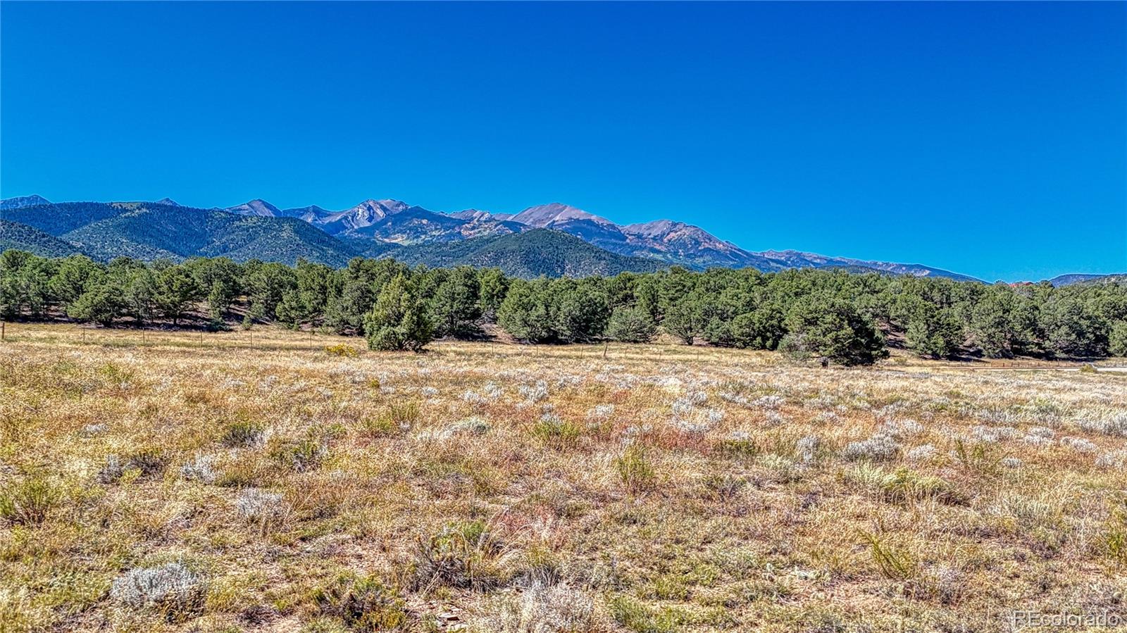 45 Tbd County Road Coaldale, CO 81222 - Photo 22 of 27