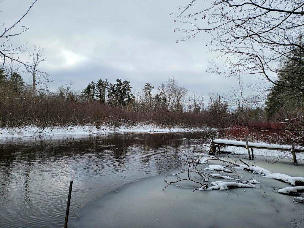 10659 Stephan Bridge Road Roscommon, MI 48653 - Photo 20 of 27 1882966-19.JPG