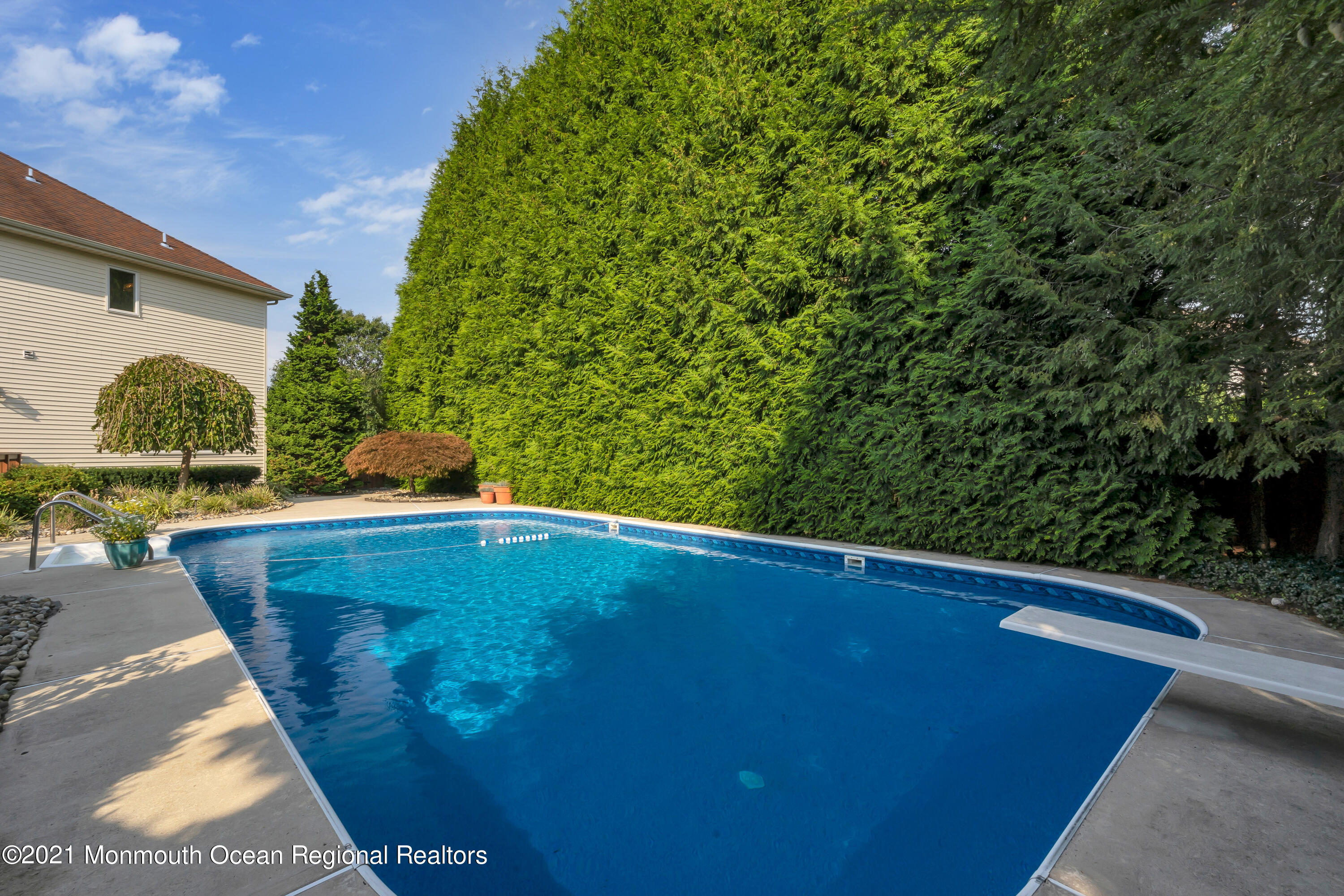 230 Crest Hill Road Toms River, NJ 08755 - Photo 52 of 59 DIVING BOARD