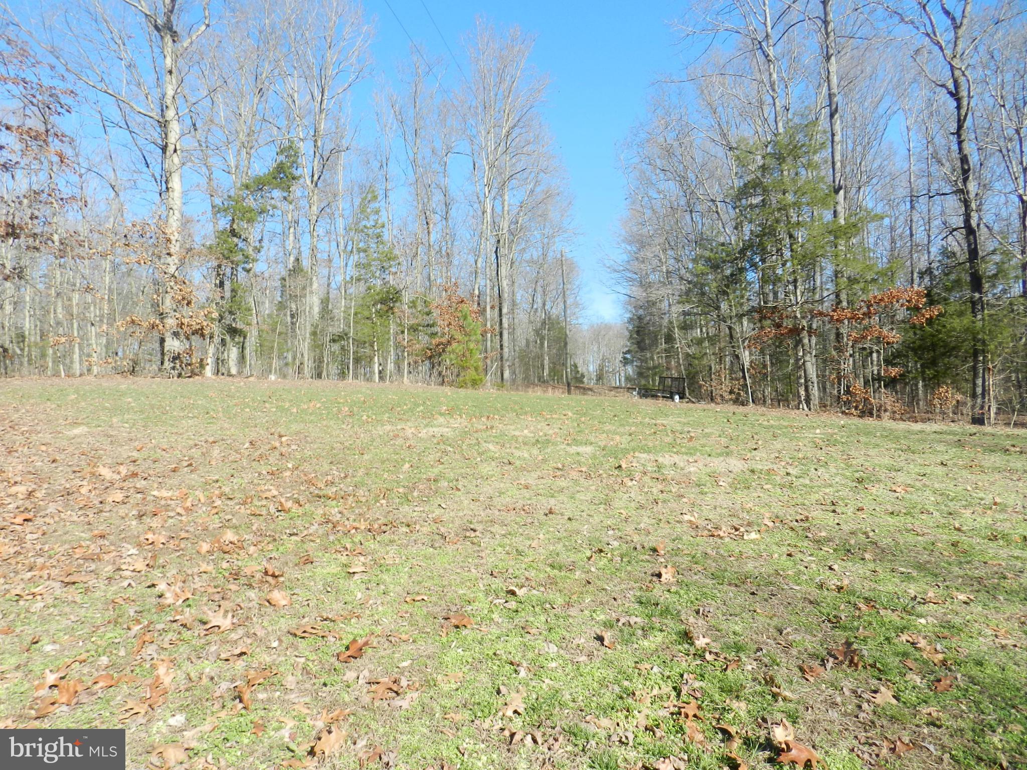 1517 Butler Road Beaverdam, VA 23015 - Photo 22 of 23 Exterior (General)