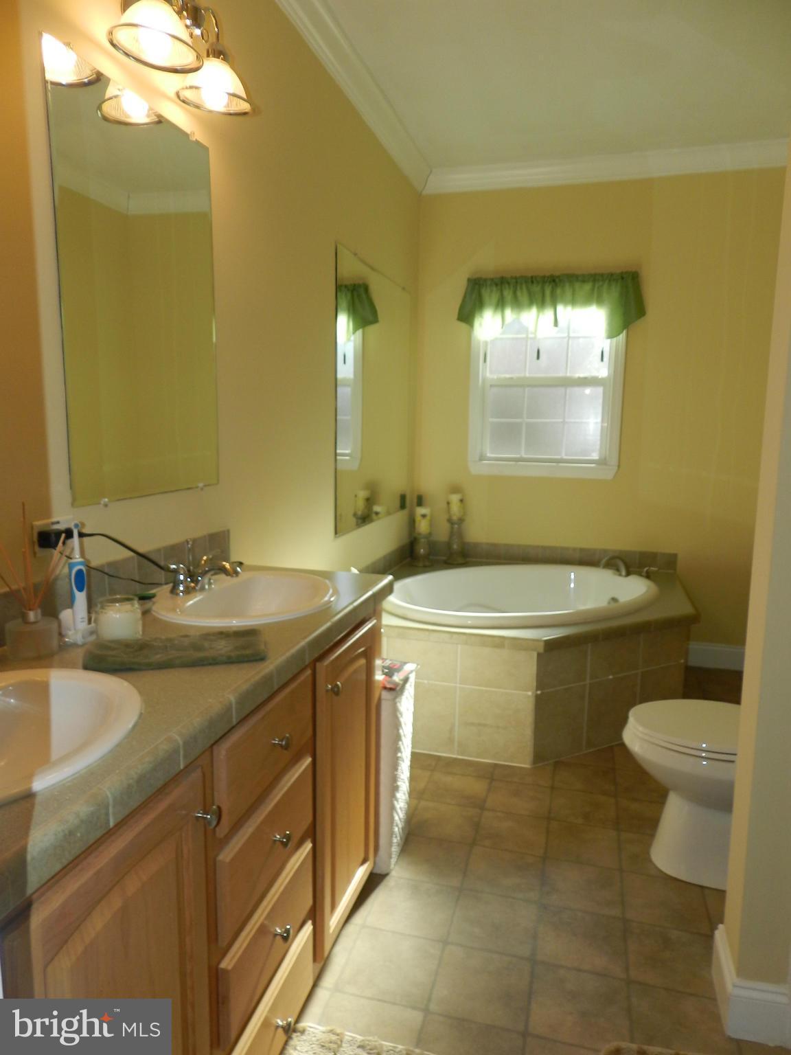 1517 Butler Road Beaverdam, VA 23015 - Photo 7 of 23 Bath (Master)