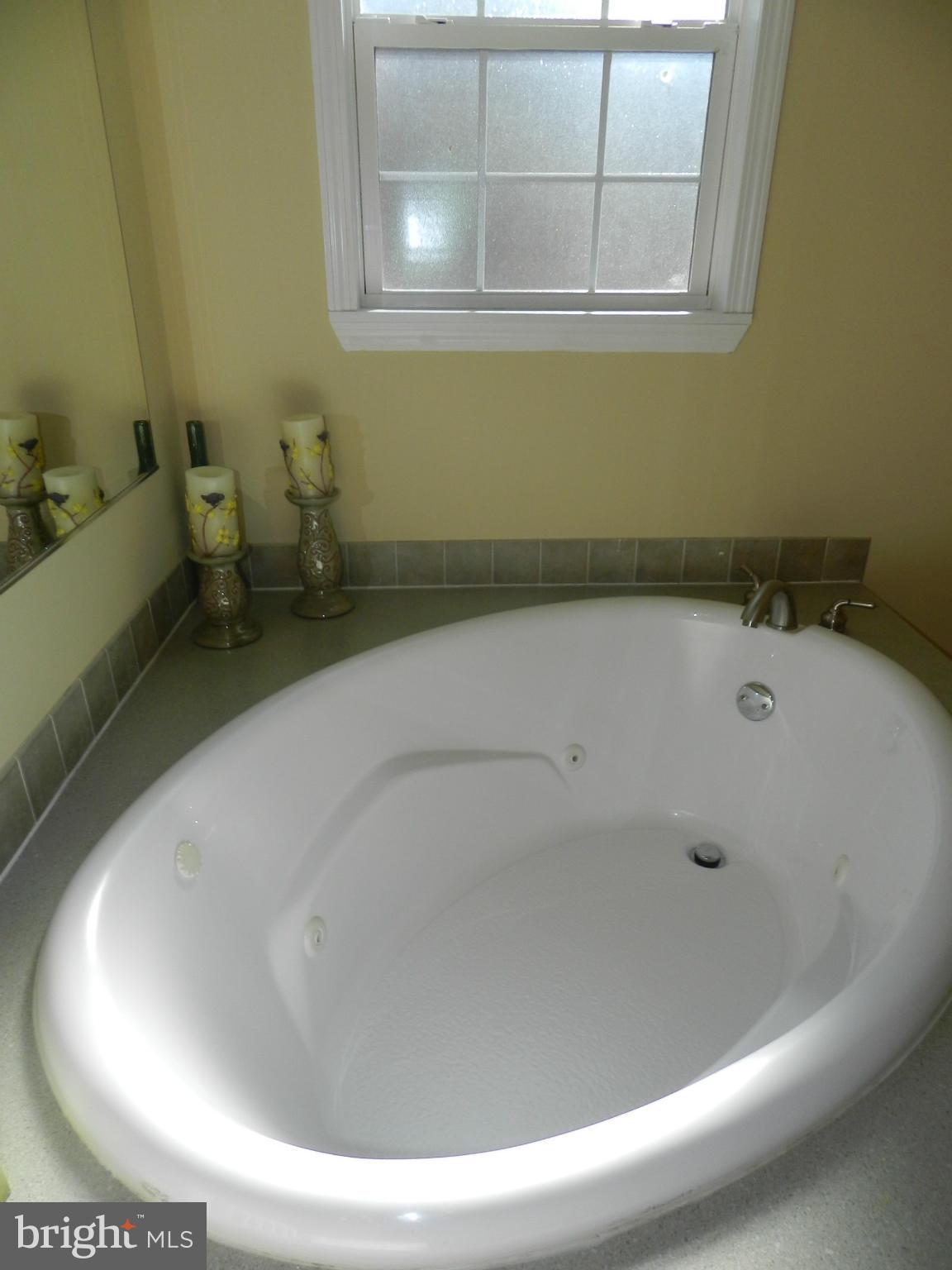 1517 Butler Road Beaverdam, VA 23015 - Photo 8 of 23 Bath (Master)