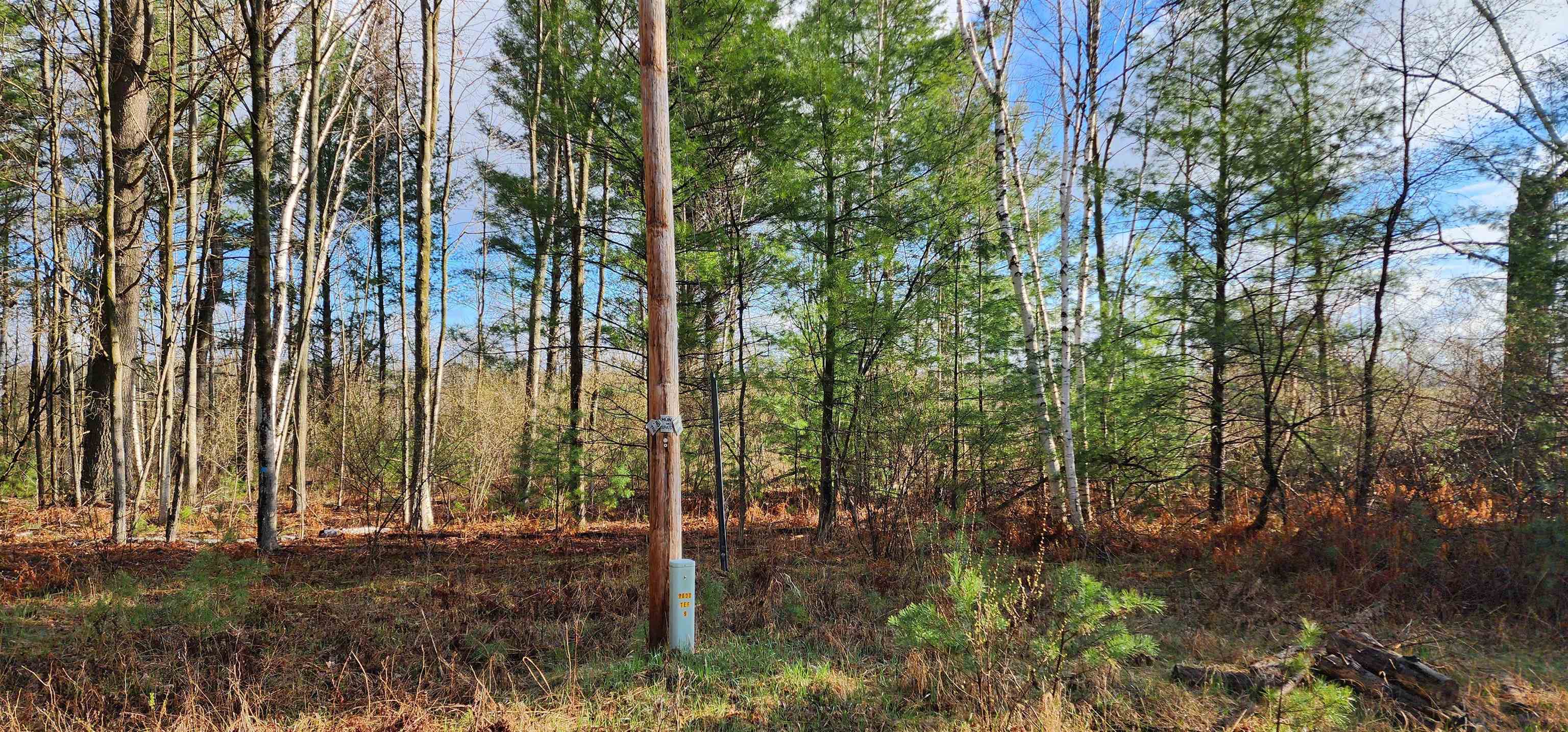 0 West Conners Road Twining, MI 48766 - Photo 4 of 8