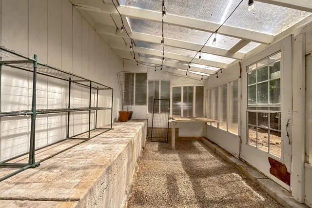 a view of a lush green field with lots of bushes