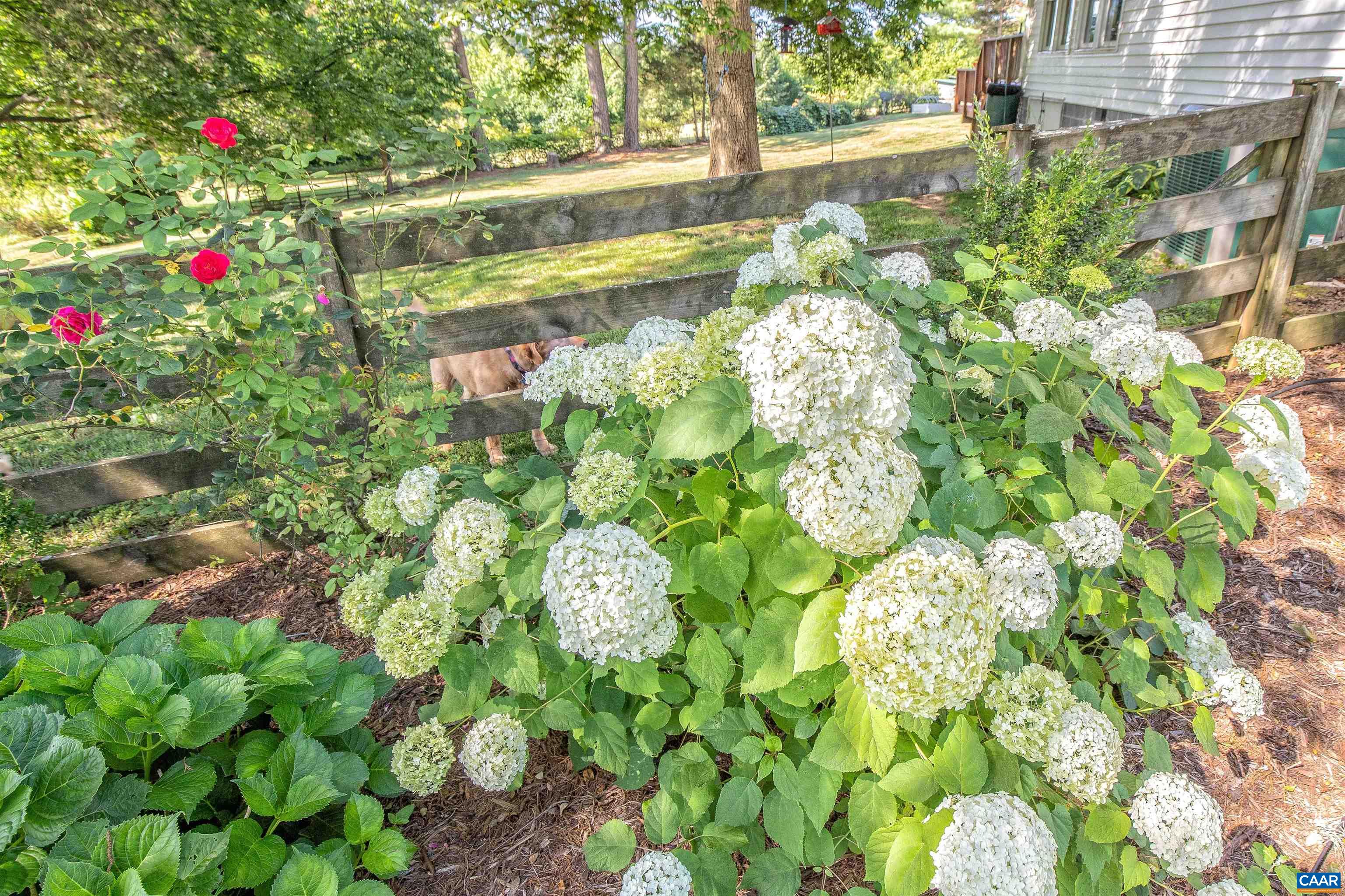 161 Columbia Road Cartersville, VA 23027 - Photo 11 of 65 Gallery Image 11