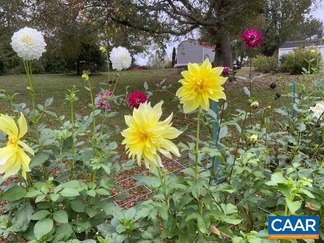 161 Columbia Road Cartersville, VA 23027 - Photo 55 of 65 Gallery Image 55