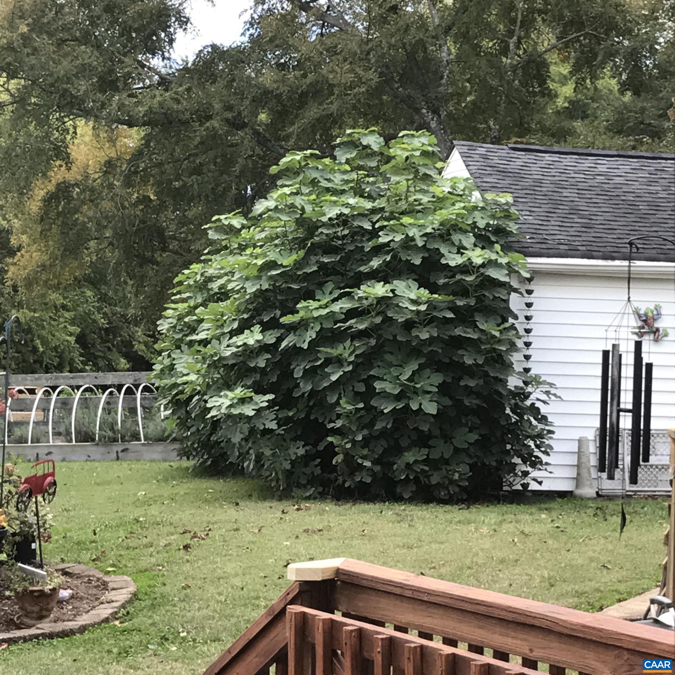 161 Columbia Road Cartersville, VA 23027 - Photo 63 of 65 Gallery Image 63
