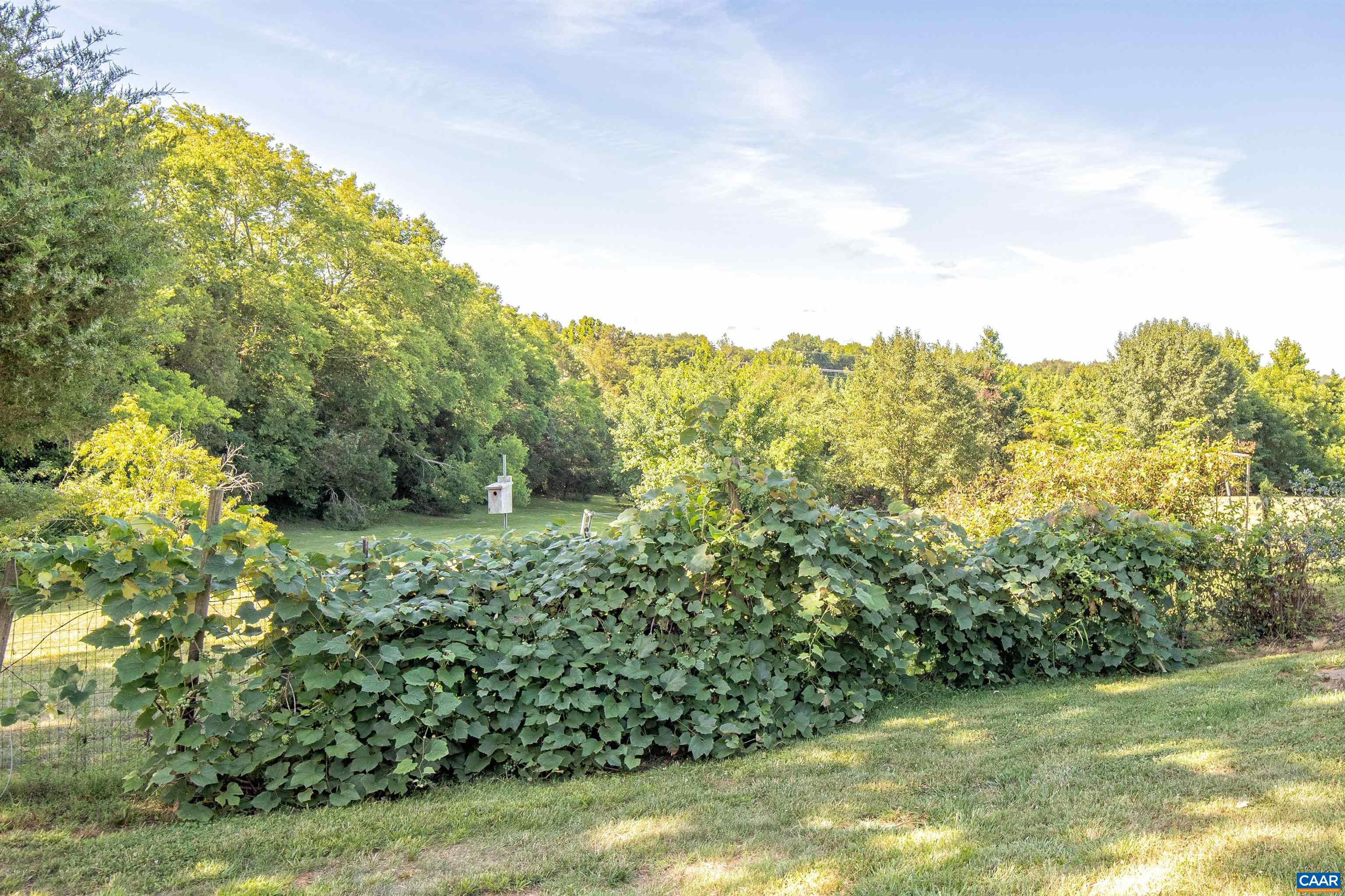 161 Columbia Road Cartersville, VA 23027 - Photo 7 of 65 Gallery Image 7