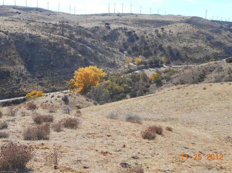 10385 Cameron Canyon Road Mojave, CA 93501 - Photo 15 of 22 Gallery Image 15