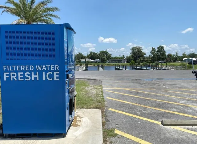 a view of a back yard