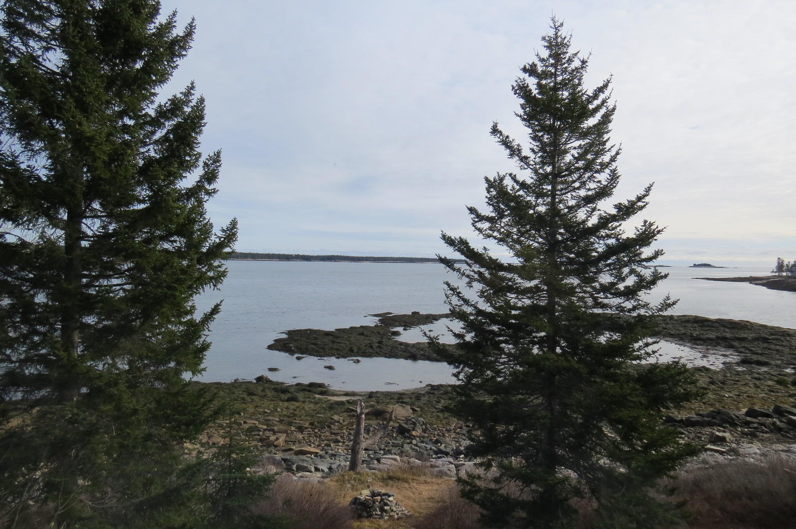 293 Paul Bunyan Road Corea, ME 04624 - Photo 32 of 35 View from the master bedroom